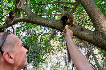 Madagascar