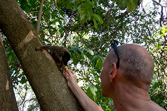 Madagascar
