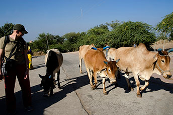 India