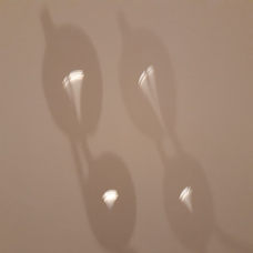 MaYx PHOTOS
