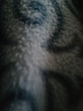 MaYx PHOTOS