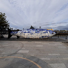 MaYx PHOTOS - Irlanda e Irlanda del Nord