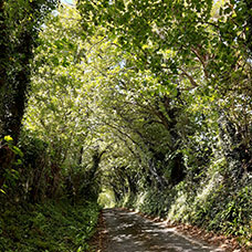 MaYx PHOTOS - Irlanda e Irlanda del Nord