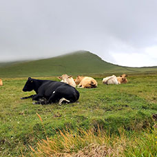 MaYx PHOTOS - Irlanda e Irlanda del Nord