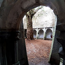 MaYx PHOTOS - Irlanda e Irlanda del Nord
