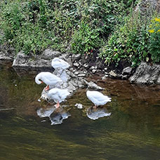 MaYx PHOTOS - Irlanda e Irlanda del Nord