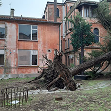 Venezia