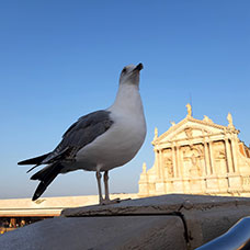 Venezia