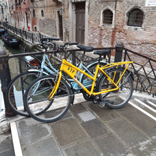 Venezia