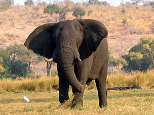 Botswana