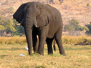Botswana