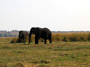 Botswana