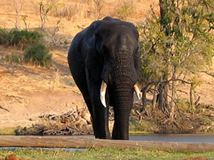 Botswana