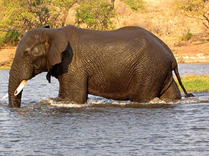 Botswana