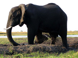 Botswana