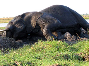 Botswana