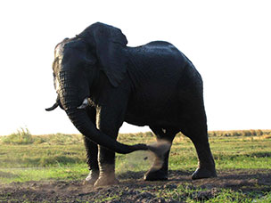 Botswana