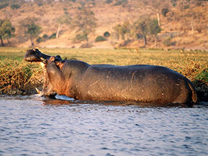Botswana