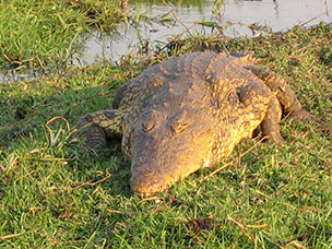 Botswana