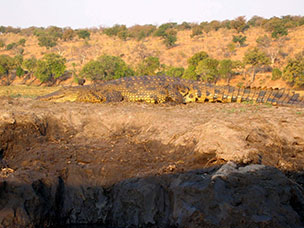 Botswana