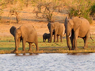Botswana