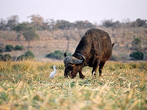 Botswana