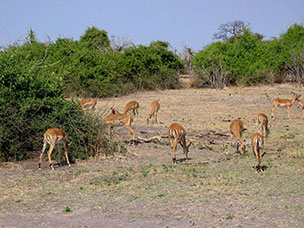 Botswana