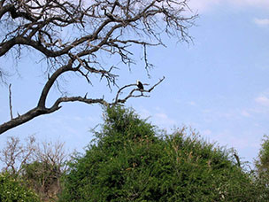 Botswana