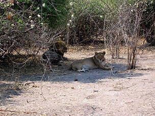 Botswana