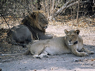 Botswana