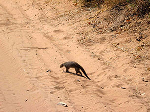 Botswana