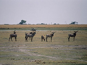 Botswana