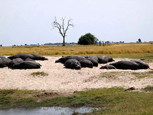 Botswana