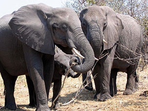 Botswana