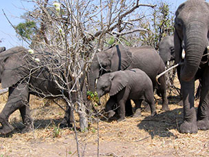 Botswana