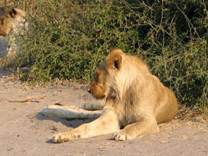 Botswana