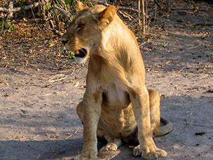 Botswana