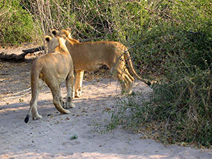 Botswana