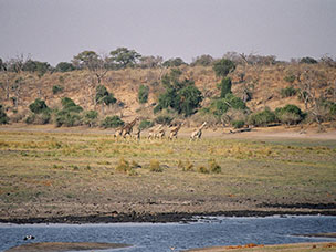 Botswana