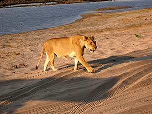 Botswana
