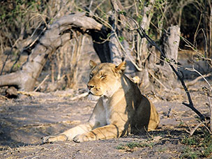 Botswana