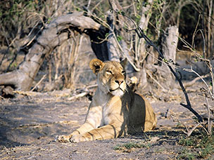 Botswana