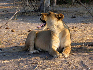 Botswana