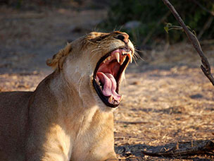 Botswana