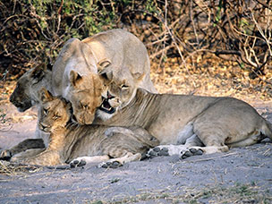Botswana
