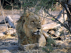 Botswana