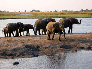 Botswana