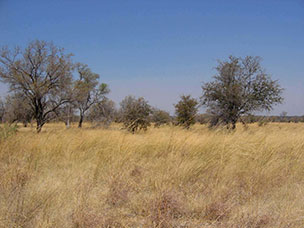 Botswana
