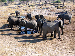 Botswana