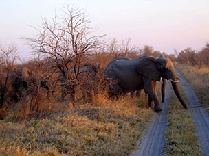 Botswana